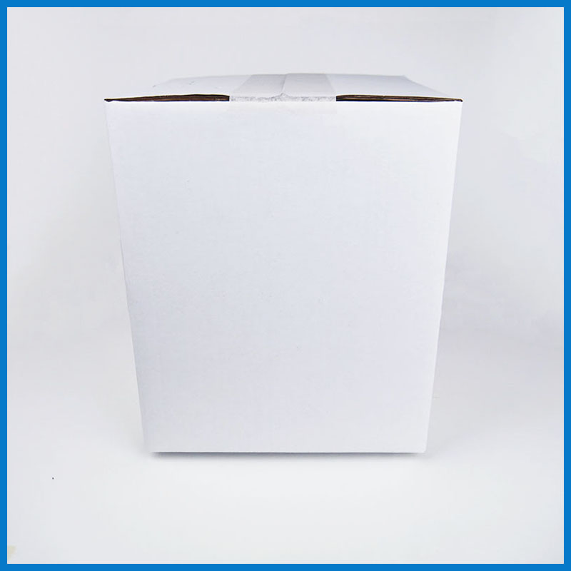 VB10-0L009 10 Litre Plain White Box