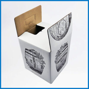 VB10-0L010 10 Litre Printed Ale Box