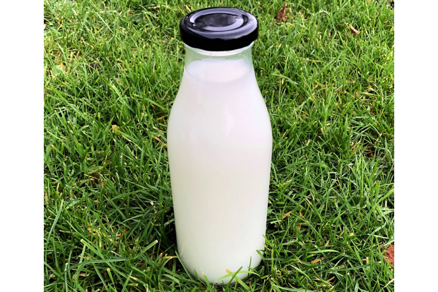 500ml Glass Milk Bottles with RTO cap x 24