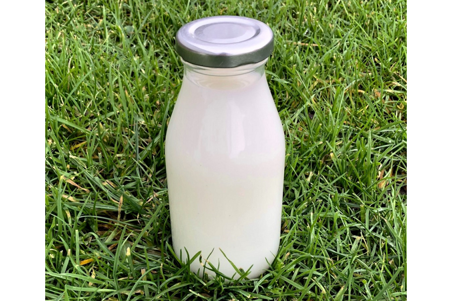 250ml Glass Milk Bottles x 24