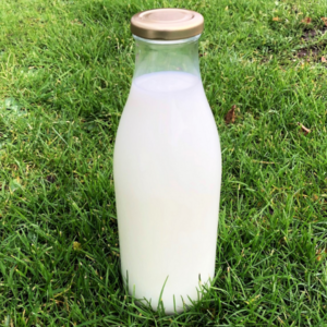 1000ml Glass Milk Bottles with RTO cap x 15
